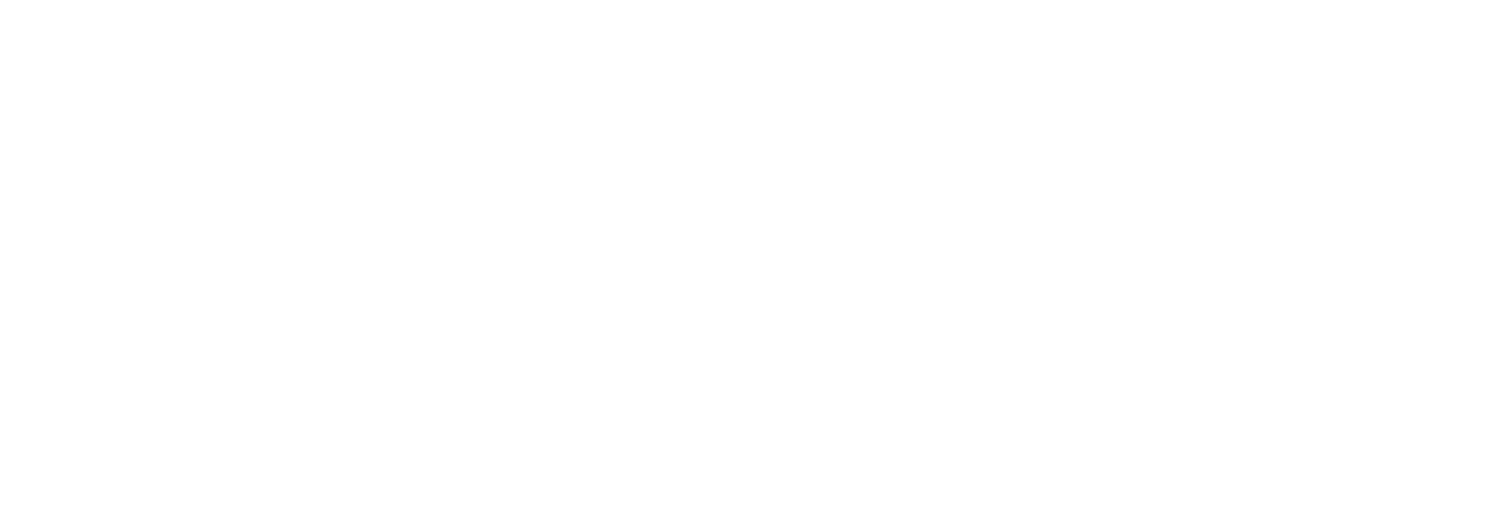 Delphino Capital Partners | M&A Advisory and Capital Strategy